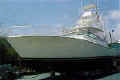 Boat Reviews